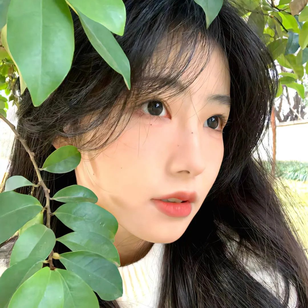 侧颜
