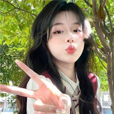 猎鹰计划
