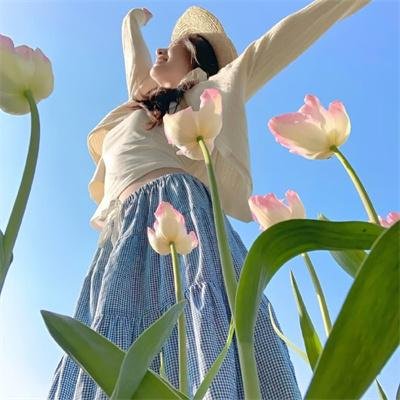 灵书妙探第八季