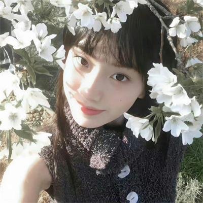 潇洒上枝头